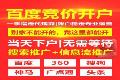 创新广告策略：专业SEM托管的典型案例研究